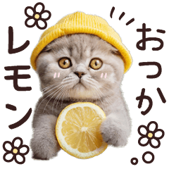 ねこさん♡ダジャレ