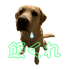 おベンスタンプ