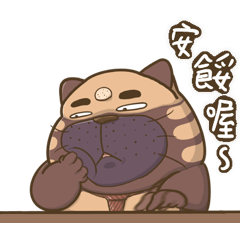 cat raccoon bear BA DAI