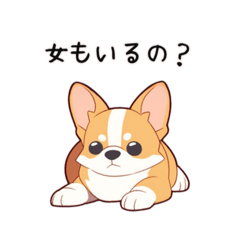 【可愛く嫉妬】コーギー