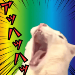 ⚫[動く!!]猫ミームで会話⭐24匹セット！