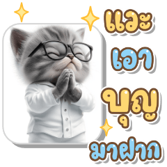 Cute Cat Gang ( Big text )