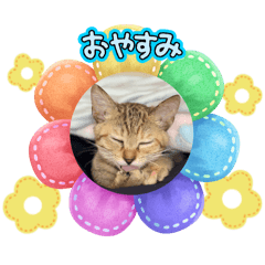 ありさスタンプver2.2