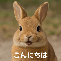 可愛いリアルウサギのスタンプです