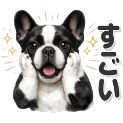 毎日使える！フレンチ・ブルドッグ 白黒