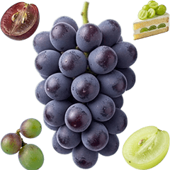 BIG! ブドウとマスカット　実写