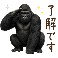 一年中使える♪ゴリラ
