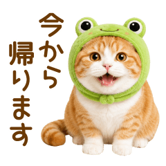 毎日使える❤️茶白猫さん(家族連絡)
