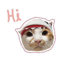 T_13