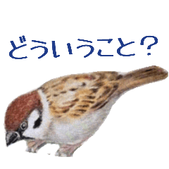 色鉛筆すずめスタンプ