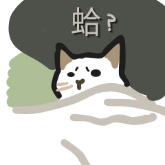 cat&ryan Meme
