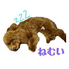 トイプードルのスタンプ。