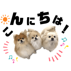 クロ先生と妻シロ娘ポチの仲良し親子生活