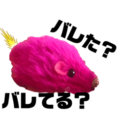 まいにち虎鉄②