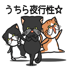 三匹の猫と徹夜しよ。