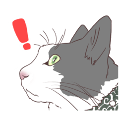 猫のみいさん。