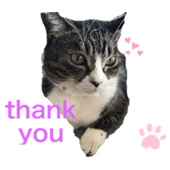 はるちゃん☆☆