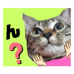 蘭ちゃんすたんぷ挨拶編