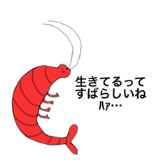 みんなともだちだよ