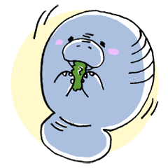 ゆるゆるマナティ