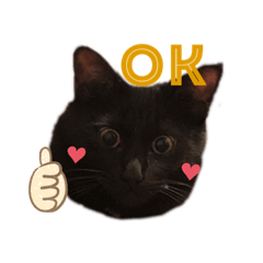 川村さんちのねこ