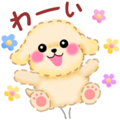 動く♪かわいい♥トイプードル