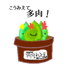 多肉葉っぱちゃん