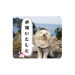 僕、おさしみスタンプ②