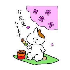 子猫の茶々丸２