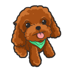 ハイ! プードル