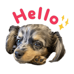 諭吉くんの日常スタンプ