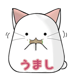 もち猫もちもちⅡメッセージタイプ