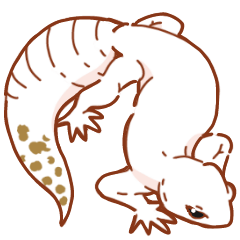 ゆるゆるレオパ