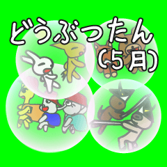 どうぶつたん (5月)