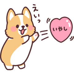 まるまるコーギー15 ほめてくれる！