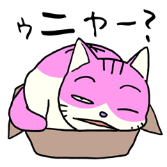 ちょいきもニャンコ。