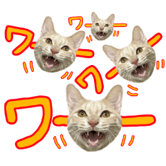 暖・鈴・陸・彩・月Part3