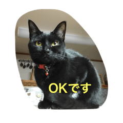 6ニャンズスタンプ2