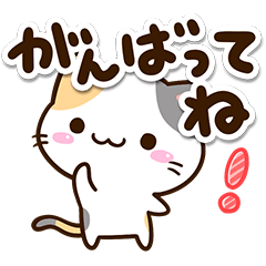 毎日使える☆小さい三毛猫