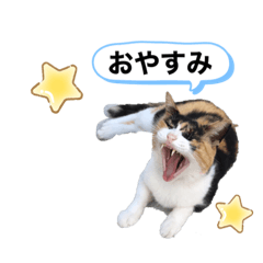 ♡かわいい家族たち♡