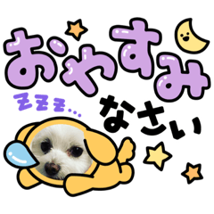 レアチーズちゃんの日常