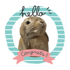 ぺろちゃんのおうち