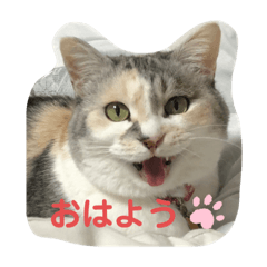 永遠のおんにゃのこ☆みゆう ②