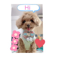 LingLing_20210623094516