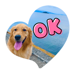 うみちゃんです