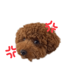 オッス！オラ正雄だ2