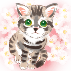 ねこ全開！・BIG（増補版）