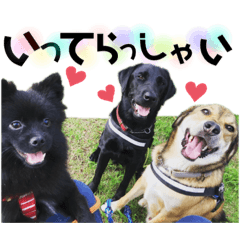 アルタシリーズ2