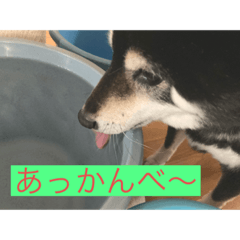 野球大好きラッキー君