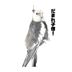 カルカルスタンプ